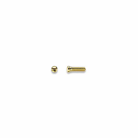 Screws, Hinge, Gold 1.4 mm