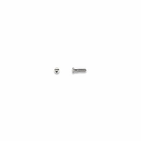 Screws, Nose Pad, Silver 1.0 mm